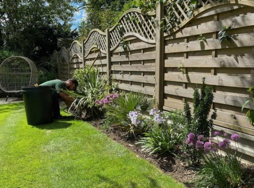 Lea-Valley-Garden-Services-Plant-Beds-Optimised